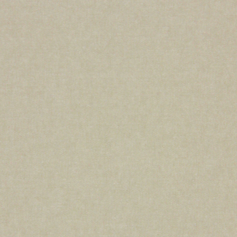 Havana Beige Light Filtering Fabric Swatch