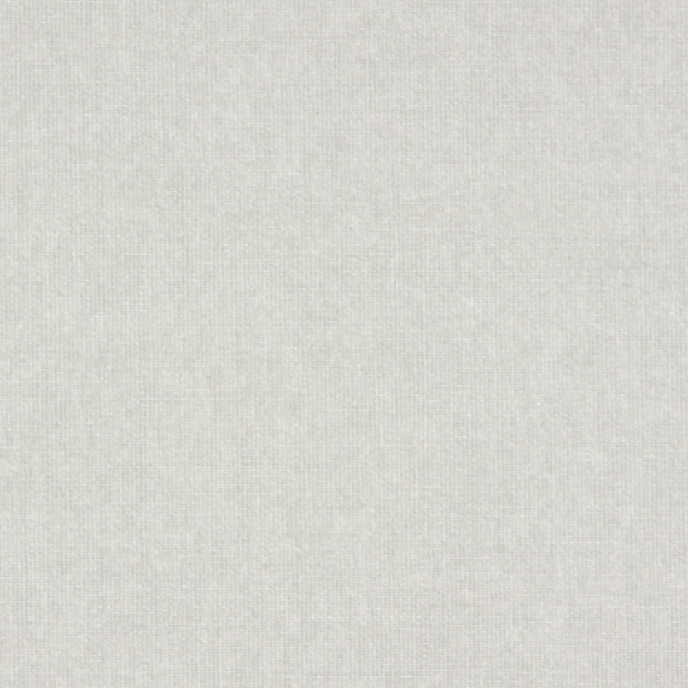 Light Grey Light Filtering Fabric Swatch